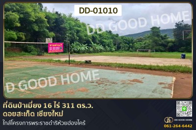 ที่ดินป่าเมี่ยง 16 ไร่ 311 ตร.ว. ดอยสะเก็ด เชียงใหม่ ใกล้โครงการพระราชดําริห้วยฮ่องไคร้-1
