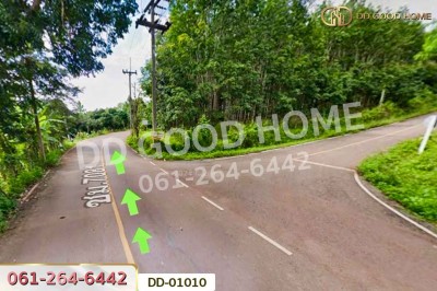 ที่ดินป่าเมี่ยง 16 ไร่ 311 ตร.ว. ดอยสะเก็ด เชียงใหม่ ใกล้โครงการพระราชดําริห้วยฮ่องไคร้-8