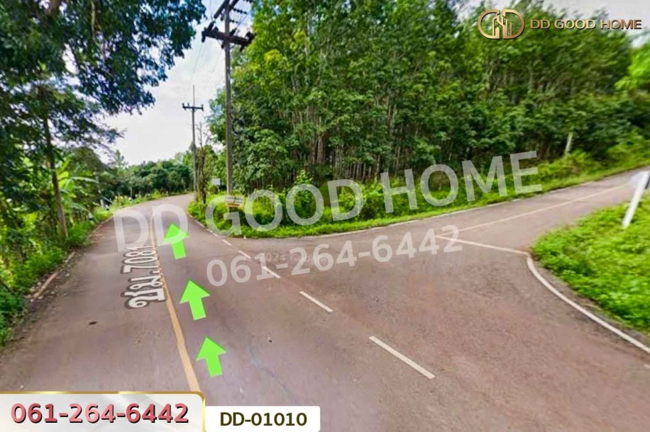 ที่ดินป่าเมี่ยง 16 ไร่ 311 ตร.ว. ดอยสะเก็ด เชียงใหม่ ใกล้โครงการพระราชดําริห้วยฮ่องไคร้-8