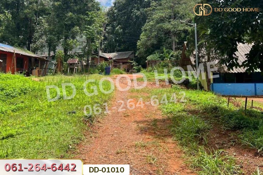 ที่ดินป่าเมี่ยง 16 ไร่ 311 ตร.ว. ดอยสะเก็ด เชียงใหม่ ใกล้โครงการพระราชดําริห้วยฮ่องไคร้-5