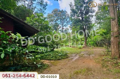 ที่ดินป่าเมี่ยง 16 ไร่ 311 ตร.ว. ดอยสะเก็ด เชียงใหม่ ใกล้โครงการพระราชดําริห้วยฮ่องไคร้-3