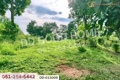 ที่ดินพร้อมสิ่งปลูกสร้างพาน 37 ไร่ 251.4 ตร.ว. เชียงราย ใกล้มหาวิทยาลัยเทคโนโลยีราชมงคลล้านนา