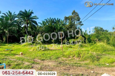 ที่ดินสิชล 9 ไร่ 356 ตร.ว.นครศรีธรรมราช ใกล้หาดท่าหมาก.