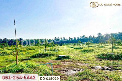 ที่ดินสิชล 9 ไร่ 356 ตร.ว.นครศรีธรรมราช ใกล้หาดท่าหมาก.