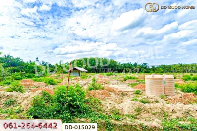 ที่ดินสิชล 9 ไร่ 356 ตร.ว.นครศรีธรรมราช ใกล้หาดท่าหมาก.