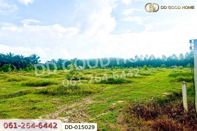 ที่ดินสิชล 9 ไร่ 356 ตร.ว.นครศรีธรรมราช ใกล้หาดท่าหมาก.