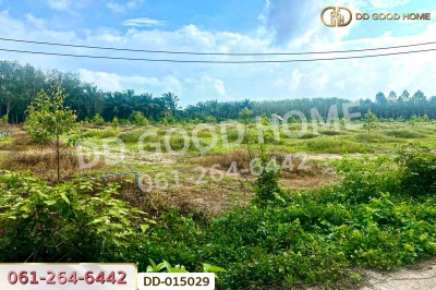 ที่ดินสิชล 9 ไร่ 356 ตร.ว.นครศรีธรรมราช ใกล้หาดท่าหมาก.