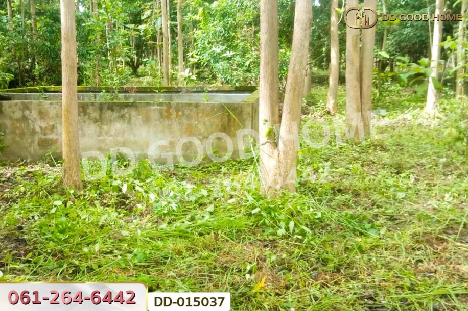 ที่ดินพาน 9 ไร่ 54 ตร.ว. เชียงราย ใกล้ที่ทำการองค์การบริหารส่วนตำบลเจริญเมือง-7