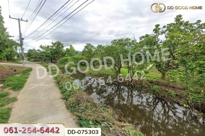 ที่ดินริมปิง 2 ไร่ 116 ตร.ว. ลำพูน ใกล้วัดพระธาตุหริภุญชัย วรมหาวิหาร.