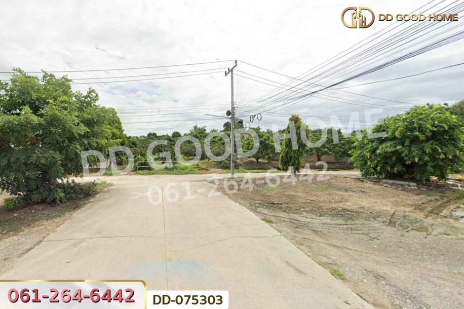 ที่ดินริมปิง 2 ไร่ 116 ตร.ว. ลำพูน ใกล้วัดพระธาตุหริภุญชัย วรมหาวิหาร.-8