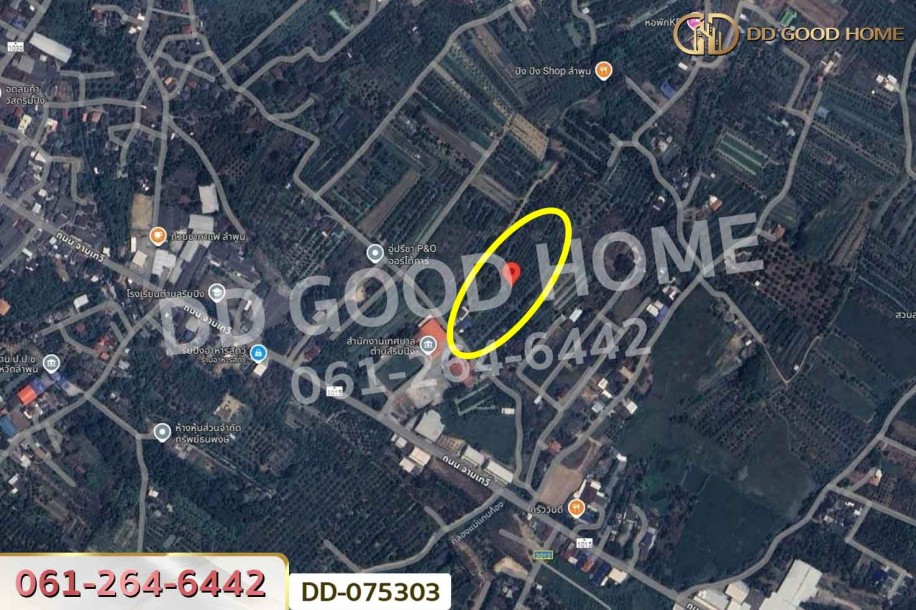 ที่ดินริมปิง 2 ไร่ 116 ตร.ว. ลำพูน ใกล้วัดพระธาตุหริภุญชัย วรมหาวิหาร.-6
