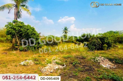 ที่ดินมะเขือแจ้ 3 ไร่ 390 ตร.ว. เมืองลำพูน ใกล้ศาลจังหวัดลำพูน-6