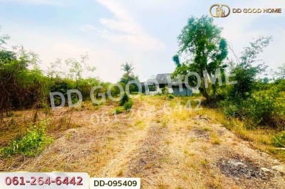 ที่ดินมะเขือแจ้ 3 ไร่ 390 ตร.ว. เมืองลำพูน ใกล้ศาลจังหวัดลำพูน-3