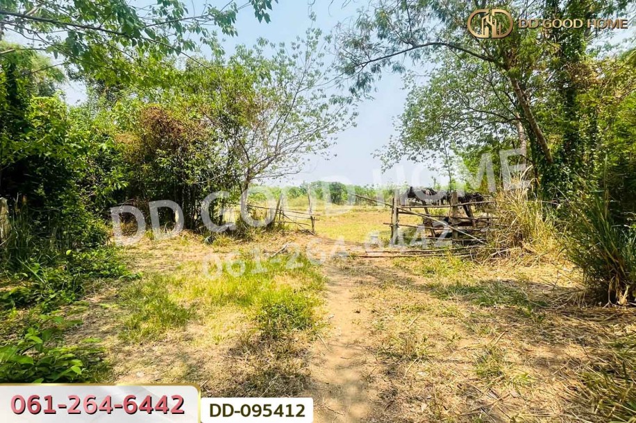 ที่ดินสันกำแพง 4 ไร่ 316 ตร.ว. เชียงใหม่ ใกล้ตลาดหัตถกรรมบ้านบ่อสร้าง-5