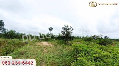 ที่ดินวังหิน 7 ไร่ 389 ตร.ว. ศรีสะเกษ ใกล้วัดป่าดู่ วังหิน-5