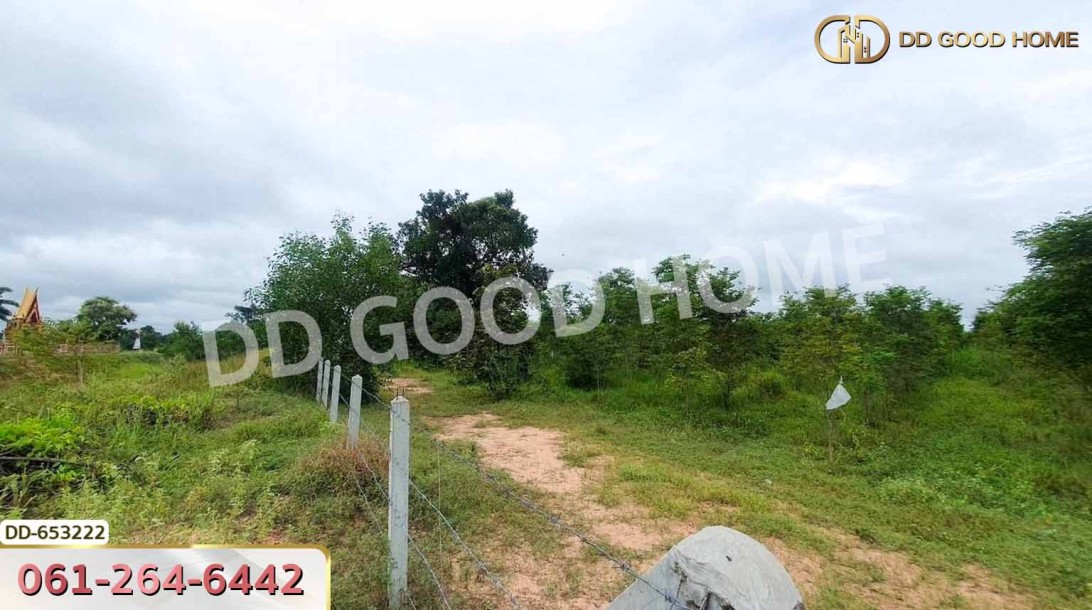 ที่ดินวังหิน 7 ไร่ 389 ตร.ว. ศรีสะเกษ ใกล้วัดป่าดู่ วังหิน-4