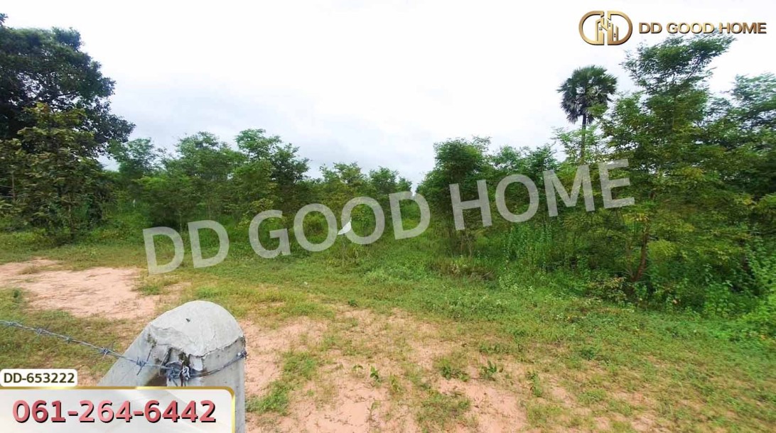 ที่ดินวังหิน 7 ไร่ 389 ตร.ว. ศรีสะเกษ ใกล้วัดป่าดู่ วังหิน-3