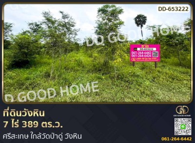 ที่ดินวังหิน 7 ไร่ 389 ตร.ว. ศรีสะเกษ ใกล้วัดป่าดู่ วังหิน-1