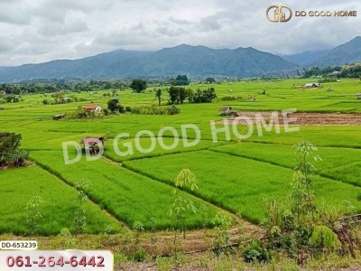 ที่ดินเชียงกลาง 5 ไร่ 338.2 ตร.ว. น่าน ใกล้วัดกลาง น่าน