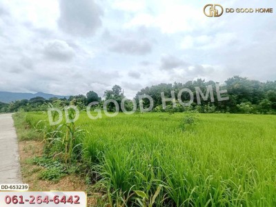 ที่ดินเชียงกลาง 5 ไร่ 338.2 ตร.ว. น่าน ใกล้วัดกลาง น่าน