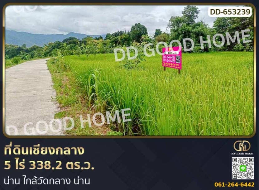 ที่ดินเชียงกลาง 5 ไร่ 338.2 ตร.ว. น่าน ใกล้วัดกลาง น่าน-1