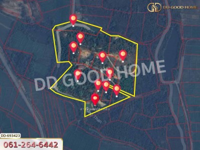 ที่ดินพาน 37 ไร่ 251.4 ตร.ว. เชียงราย ใกล้วัดโป่งแดง-12