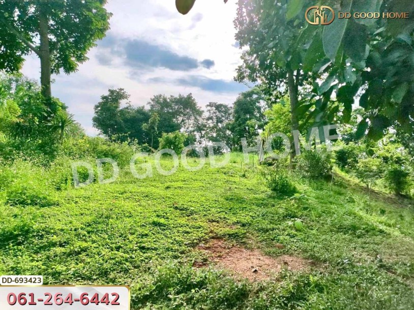 ที่ดินพาน 37 ไร่ 251.4 ตร.ว. เชียงราย ใกล้วัดโป่งแดง-3