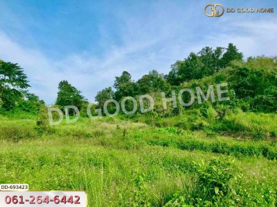 ที่ดินพาน 37 ไร่ 251.4 ตร.ว. เชียงราย ใกล้วัดโป่งแดง-2