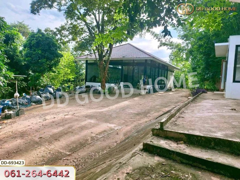 ที่ดินพาน 37 ไร่ 251.4 ตร.ว. เชียงราย ใกล้วัดโป่งแดง-8