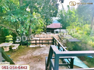 ที่ดินพาน 37 ไร่ 251.4 ตร.ว. เชียงราย ใกล้วัดโป่งแดง-6