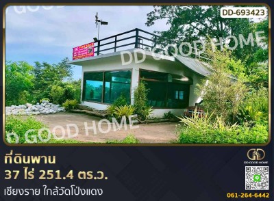 ที่ดินพาน 37 ไร่ 251.4 ตร.ว. เชียงราย ใกล้วัดโป่งแดง-1