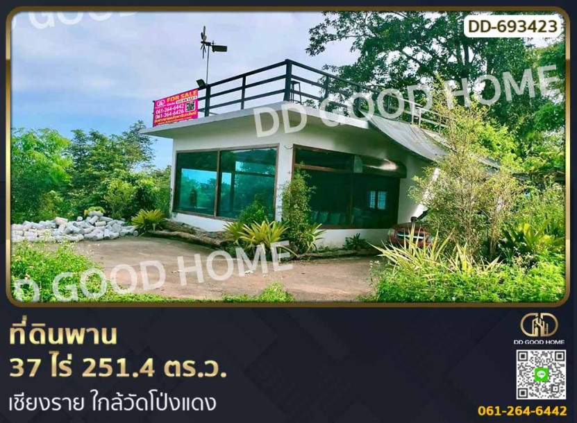 ที่ดินพาน 37 ไร่ 251.4 ตร.ว. เชียงราย ใกล้วัดโป่งแดง-1