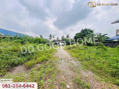 ที่ดินบางใหญ่ 388 ตร.ว. นนทบุรี ใกล้วัดหลังบาง.-9