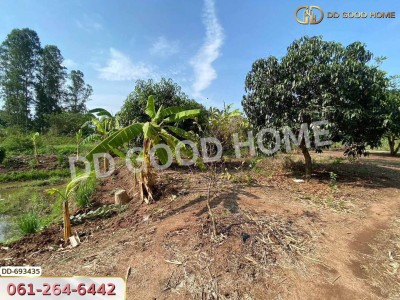 ที่ดินตะพานหิน 1 ไร่ 193 ตร.ว. พิจิตร ใกล้สวนสมเด็จพระศรีนครินทร์ พิจิตร-3