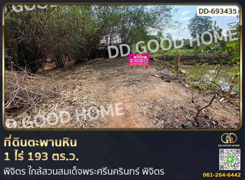 ที่ดินตะพานหิน 1 ไร่ 193 ตร.ว. พิจิตร ใกล้สวนสมเด็จพระศรีนครินทร์ พิจิตร-1