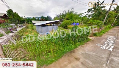 ที่ดินปาย 300 ตร.ว. แม่ฮ่องสอน ใกล้ ใกล้สนามบิน อ.ปาย-7