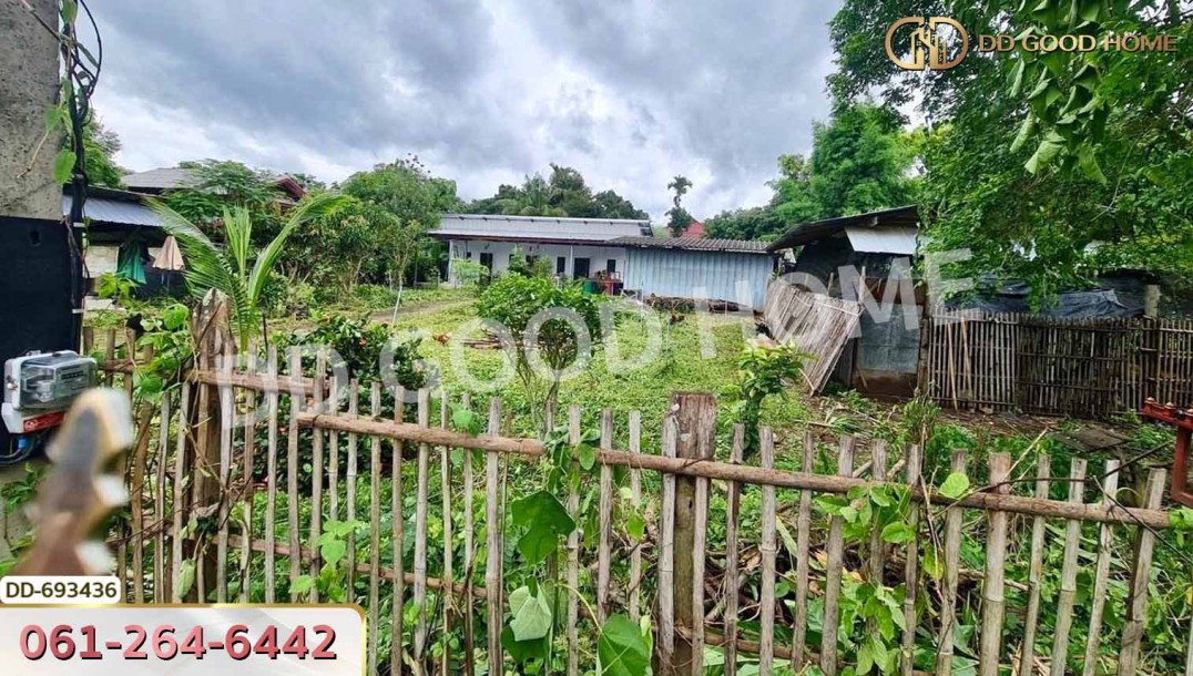 ที่ดินปาย 300 ตร.ว. แม่ฮ่องสอน ใกล้ ใกล้สนามบิน อ.ปาย-4
