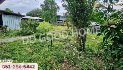 ที่ดินปาย 300 ตร.ว. แม่ฮ่องสอน ใกล้ ใกล้สนามบิน อ.ปาย-3