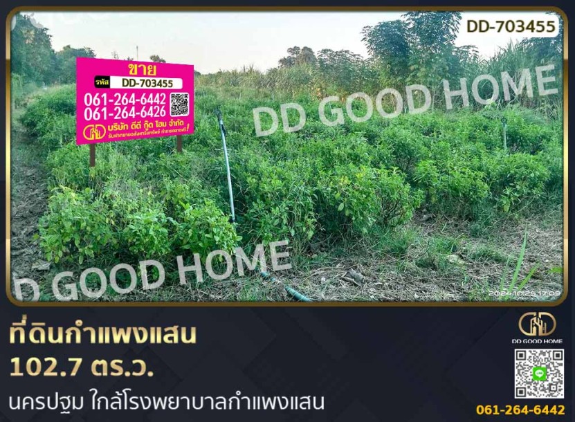ที่ดินกำแพงแสน 102.7 ตร.ว. นครปฐม ใกล้โรงพยาบาลกำแพงแสน-1