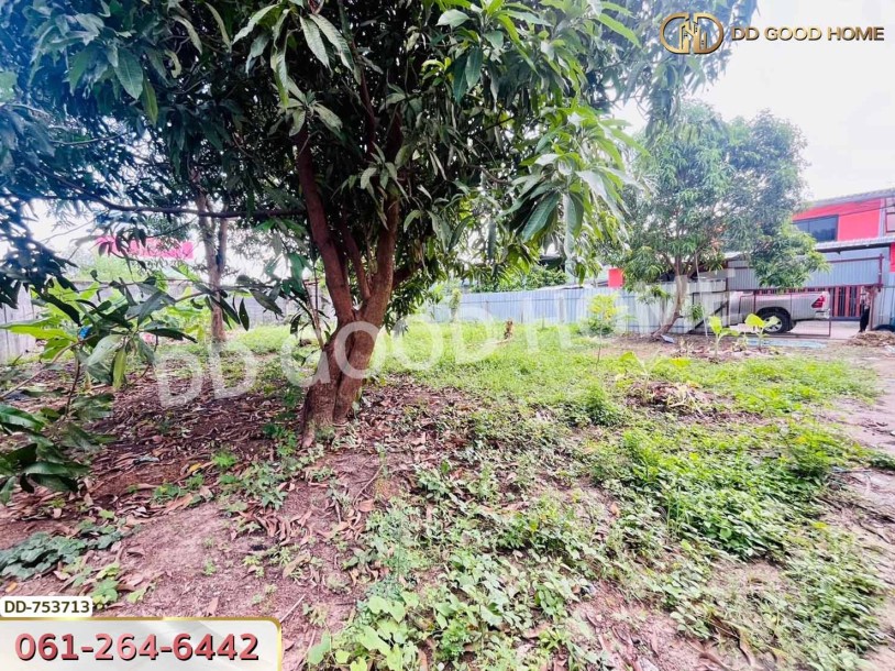 ที่ดินลำลูกกา 100 ตร.ว. ปทุมธานี ใกล้ตลาดเอซี (เช่า)-9