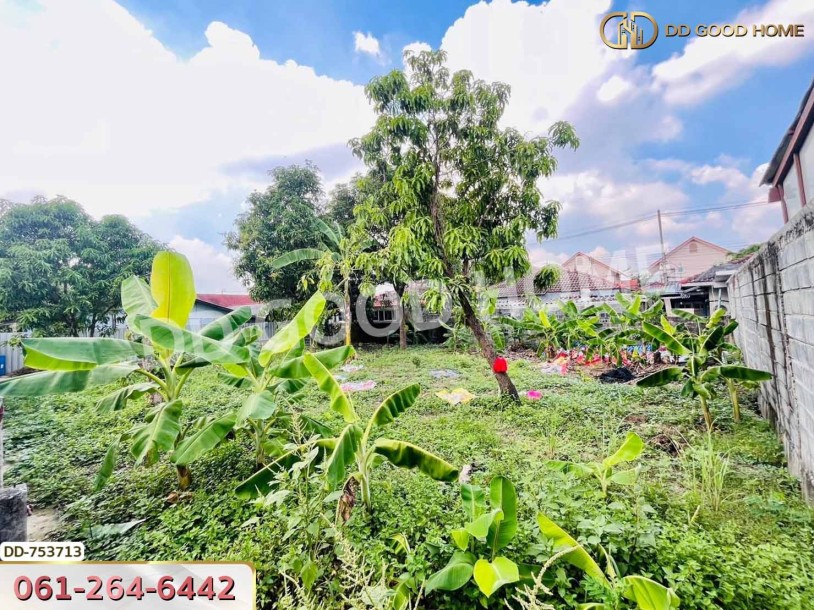 ที่ดินลำลูกกา 100 ตร.ว. ปทุมธานี ใกล้ตลาดเอซี (เช่า)-8