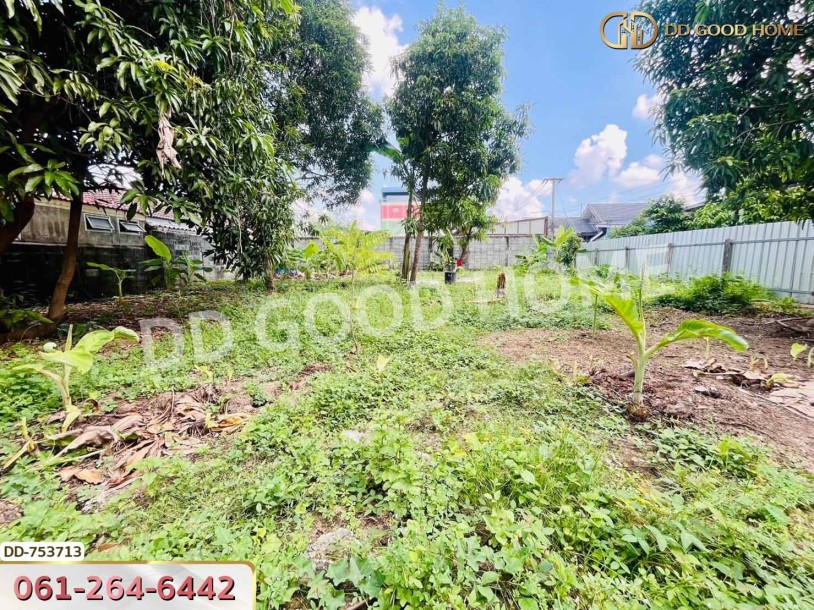 ที่ดินลำลูกกา 100 ตร.ว. ปทุมธานี ใกล้ตลาดเอซี (เช่า)-7