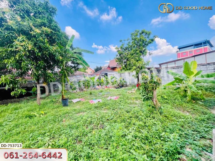ที่ดินลำลูกกา 100 ตร.ว. ปทุมธานี ใกล้ตลาดเอซี (เช่า)-6