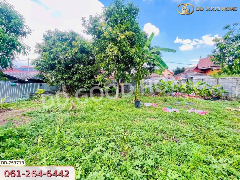 ที่ดินลำลูกกา 100 ตร.ว. ปทุมธานี ใกล้ตลาดเอซี (เช่า)-5