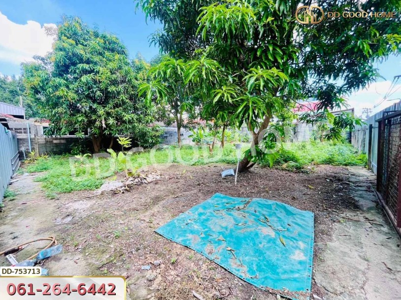 ที่ดินลำลูกกา 100 ตร.ว. ปทุมธานี ใกล้ตลาดเอซี (เช่า)-4