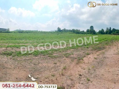 ที่ดินปากช่อง 6 ไร่ 298.3 ตร.ว. ราชบุรี ใกล้โชคชัยฟาร์ม