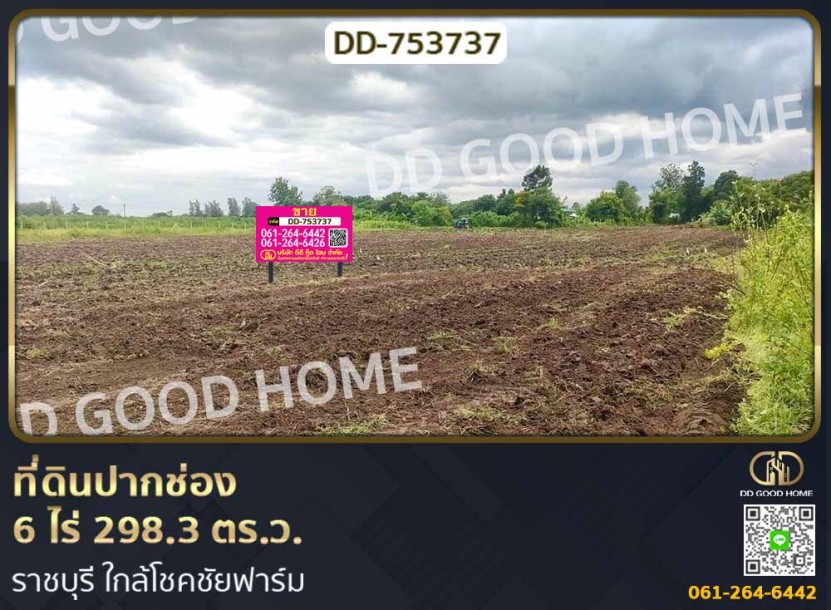 ที่ดินปากช่อง 6 ไร่ 298.3 ตร.ว. ราชบุรี ใกล้โชคชัยฟาร์ม-1