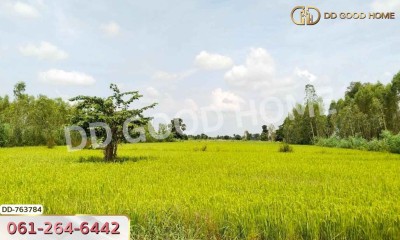 ที่ดินขาณุวรลักษณ์บุรี 20 ไร่ กำแพงเพชร ใกล้ อบต.โค้งไผ่