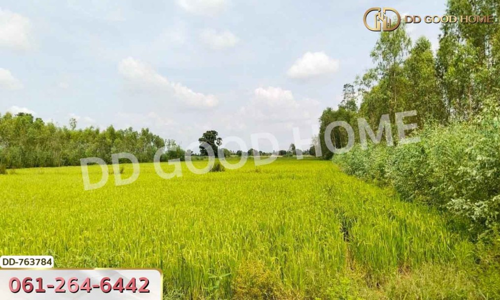 ที่ดินขาณุวรลักษณ์บุรี 20 ไร่ กำแพงเพชร ใกล้ อบต.โค้งไผ่-5