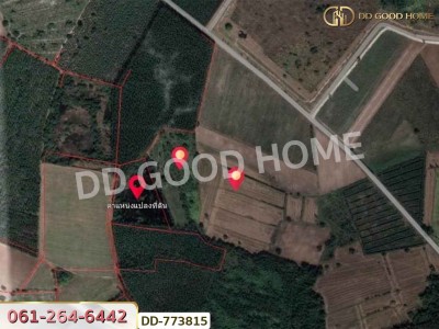 ที่ดินศรีมหาโพธิ 53 ไร่ 44.80 ตร.ว ปราจีนบุรี ใกล้นิคมโรจนะ